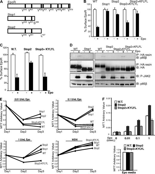 Figure 7. Truncated EpoR mutants fail to bind p85β or internalize on Epo stimulation. (A) Schematic diagram for truncated EpoR mutants used in our studies based on those from PFCP patients. (B) Truncated EpoR mutants did not internalize on Epo treatment by flow cytometry in γ2A cells. (C) Epo-induced internalization was defective for Stop2, but not Stop2-KYLYL, in erythroid progenitor cells. (D) Stop2+KYLYL, but not Stop1, Stop2, or Stop2+KFLFL, interacted with p85β on Epo induction. (E) Truncated EpoR mutants are hypersensitive to Epo in Ba/F3 cells. Ba/F3 cells stably expressing wild-type or truncated EpoR mutants were grown under different Epo concentrations. Cell numbers were measured by MTT assays every 24 hours for 3 days. Cell numbers from cultures in WEHI media as a source of IL-3 were shown as controls. (F) Erythroid progenitor cells expressing Stop2, but not Stop2+KYLYL, are hypersensitive to Epo. Erythroid progenitor cells were transduced with retroviruses expressing wild-type or truncated EpoR mutants. At 24 hours after infection, cells were washed and cultured in media containing different Epo concentration and 2% FBS (top panel), and cell numbers were measured by MTT assays after 24 hours. Cell numbers from cultures in media containing 10% FBS and 2 U/mL Epo (Epo media) were shown as controls (bottom panel). IP indicates immunoprecipitation; IB, immunoblot; P-JAK2, phosphorylated active JAK2.