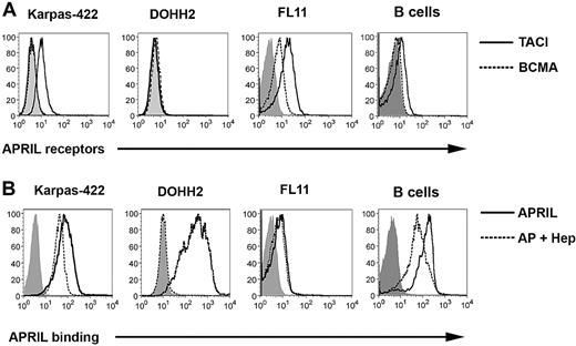 Figure 1. FL B cells express receptors for APRIL and exhibit APRIL binding. (A) Karpas, DOHH2, FL patient specimens (n = 9), and CD19+ B cells from healthy donors (n = 3) were stained with PE-conjugated anti-TACI (thick line), anti-BCMA (dashed line), or isotype control (solid gray line), and analyzed by flow cytometry. A representative patient histogram is shown. (B) Karpas, DOHH2, FL patient specimens (n = 5), and CD19+ B cells from healthy donors (n = 3) were left untreated or pretreated with heparin and then incubated with biotinylated APRIL and analyzed by flow cytometry: isotype-control (solid gray), APRIL alone (thick line), or APRIL plus heparin (dashed line).