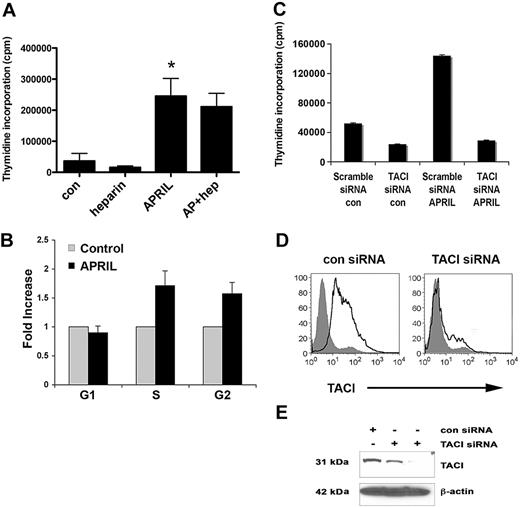 Figure 2. APRIL stimulation promotes the proliferation of FL B cells. (A) Karpas cells were cultured alone or with APRIL, heparin, or both for 48 hours, and proliferation was assessed. Bar graph shows mean plus or minus SDs (n = 3). (B) Karpas cells were treated with APRIL for 48 hours, and cell-cycle analysis was performed. Results are represented as fold induction (APRIL compared with the nil control) of cells in G1, S, and G2 phase (n = 3) mean (± SDs). (C) Control and TACI siRNA-transfected (100 nM) Karpas cells were treated with APRIL for 48 hours, and proliferation was assessed. (D) Control and TACI siRNA–transfected (100 nM) Karpas cells were stained with PE-conjugated anti-TACI. (E) Expression of TACI in control siRNA (100 nM) and TACI siRNA–transfected (50 nM and 100 nM) Karpas cells was analyzed by Western blot using a TACI-specific antibody, as described in “Methods.” For panel A, *P < .05, APRIL compared with nil control.