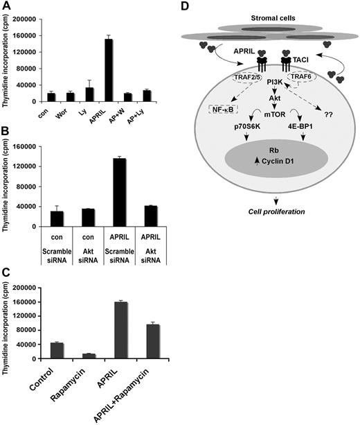 Figure 7. APRIL-TACI–mediated proliferation of FL cells is PI3K and mTOR dependent. (A) Karpas cells were cultured alone or with 500 nM wortmanin or 10 μM Ly294002 with or without the addition of APRIL for 48 hours, and proliferation was assessed. Data representative of 3 experiments are shown. (B) Control and Akt siRNA-transfected Karpas cells were left untreated or treated with APRIL for 48 hours, and proliferation was assessed. (C) Karpas cells were cultured alone or with APRIL or with 20 nM rapamycin or both for 48 hours, and proliferation was assessed. (D) Schematic diagram for APRIL-induced signaling through TACI in FL B cells. Malignant cells from FL express TACI, which delivers a proliferative signal upon engagement with APRIL. APRIL-TACI interactions activate the PI3K, Akt, and mTOR pathway, followed by phosphorylation of p70S6 kinase, 4E-BP1, and S6. Activation of mTOR results in up-regulation of cyclin D1 expression and Rb phosphorylation. The hypothetical TRAF proteins involved in APRIL-TACI–mediated PI3K and NF-κB activation are indicated by dashed lines.