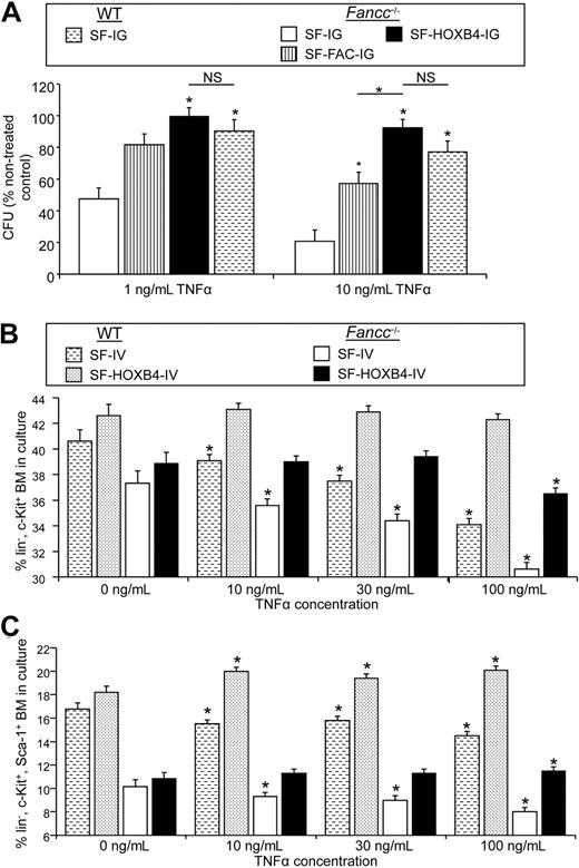 Figure 2. Ectopic HOXB4 protects HSC/P from the inhibitory effects of TNF-α. (A) Survival of transduced progenitor cells with increasing concentrations of TNF-α. Murine LSK cells were transduced with the indicated retroviral vectors, and sorted transduced cells were then plated in methylcellulose supplemented with 1 ng/mL, 10 ng/mL, or no (NTX) TNF-α. The frequency of surviving day 7 colonies, expressed as a percentage of nontreated controls, is shown. Data represent the least squares mean estimates plus or minus SEM from mixed-effects model analysis of 3 or 4 independent experiments. □ represents Fancc−/− + SF-IG; , Fancc−/− + SF-FAC-IG; ■, Fancc−/− + SF-HOXB4-IG; , WT + SF-IG. *Significant compared with Fancc−/− + SF-IG group or as indicated by bars after multiple comparison adjustment (P < .003) by Bonferroni method. NS indicates not significant. (B,C) Immunophenotypic analysis of percentage HSC/P in culture after TNF-α treatment. LSK BM from C57B6 or Fancc−/− mice were transduced with either SF-IV or SF-HOXB4-IV. At 36 hours after transduction, cells were treated with the indicated dose of TNF-α as described in “Analysis of G2/M arrest and FAN CD2 mono-ubiquitination in human FA lymphoblast cell lines” and a further 24 hours later BM was stained with antibodies directed against lineage markers, c-Kit and Sca-1. The percentage of BM cells corresponding to either (B) lin− c-Kit+ or (C) lin−, c-Kit+, Sca1+ is shown. Data represent the least squares mean estimates plus or minus SEM from mixed-effects model analysis of 5 or 6 independent experiments. □ represents Fancc−/− + SF-IV; ■, Fancc−/− + SF-HOXB4-IV; , WT + SF-IV; ▩, WT + SF-HOXB4-IV. *Significant compared with nontreated control after multiple comparison adjustment (P < .05) by Tukey method.