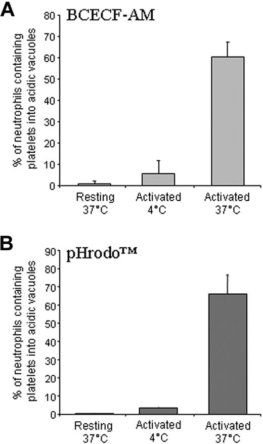 Figure 5. Phagocytosed platelets reach intracellular acidic vacuoles. (A) Neutrophils were incubated with resting or activated platelets labeled with BCECF-AM for 5 minutes at 37°C or 4°C and analyzed by flow cytometry. A bright-red fluorescence associated with the phagocytic events indicates that intracellular platelets reached acidic vacuoles. Platelet acidification did not occur in conditions in which phagocytosis did not occur (ie, when neutrophils were challenged with resting platelets or when the assay was carried out at 4°C). (B) Neutrophils were incubated with resting or activated platelets labeled with pHrodo for 5 minutes at 37°C or 4°C and analyzed by flow cytometry. A bright-red fluorescence associated with the phagocytic events indicates that platelets reached acidic vacuoles. Acidification did not occur in conditions in which phagocytosis did not occur (ie, when neutrophils were challenged with resting platelets or when the assay was carried out at 4°C).