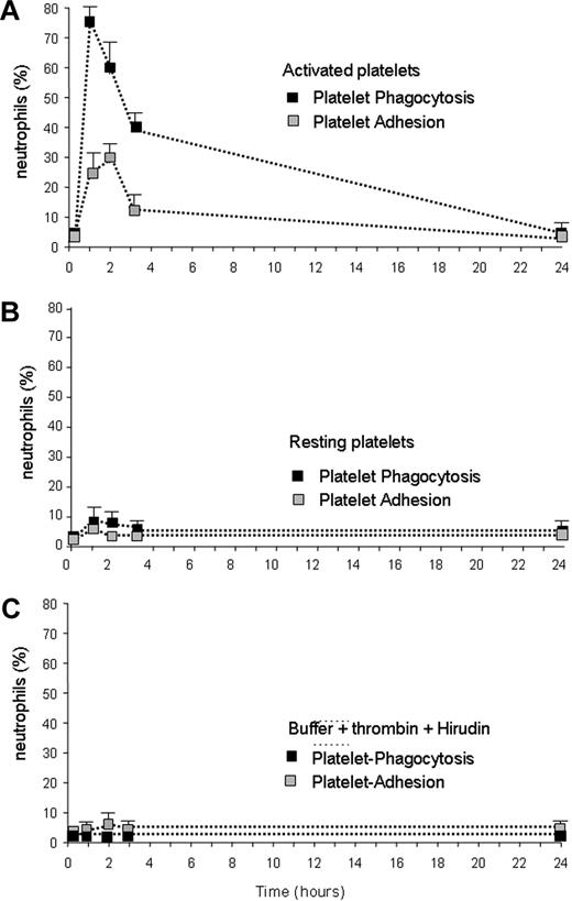Figure 6. In vivo evidence of the phagocytosis of activated platelets by circulating neutrophils. Purified platelets, either activated (A) or resting (B), were injected in the tail vein of C57BL/6 mice. Platelet activation was achieved with thrombin. The molecule was then inactivated by addition of hyrudin, as described in “In vivo injection and clearance of activated platelets.” (C) The effect of the in vivo injection of the buffer used for platelet activation, containing both thrombin and hyrudin. Blood was retrieved at different times after injection (x axis, hours) and neutrophils with adherent (■) or internalized () platelets were identified by flow cytometry. More than 70% of circulating neutrophils were engaged in the internalization and adhesion of activated, but not resting, platelets after 1 hour. The fraction of circulating neutrophils with internalized and adherent platelets returned to background levels 24 hours after the injection. Results are expressed as mean ± SEM; 5 to 7 animals were assessed per point.