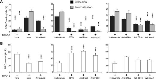 Figure 7. The phagocytosis of platelets depends on exposure of phosphatidylserine, on expression of P-selectin and β2 integrins. The percentage of neutrophils with adherent (■) and internalized () platelets (A) and their MPO content (B) were evaluated. (Left panels) Neutrophils were challenged with resting platelets (TRAP-6−) or with activated platelets (TRAP-6+) or with activated platelets treated with recombinant annexin A5 (15 μg/mL; TRAP-6+, annexin A5). (Middle panels) Neutrophils were challenged with activated platelets (TRAP-6+) either in the presence of irrelevant control mAb, or of EDTA, or of anti–P-selectin mAb (anti P-sel) or of anti–PSGL-1 mAb (anti PSGL-1). (Right panels) Neutrophils were challenged with activated platelets (TRAP-6+) either in the presence of irrelevant control mAb, or of anti-GPIbα mAb (anti-GPIbα), or of mAb against the β2 subunit binding site (anti-CD18), or against the Mac-1 binding site (anti Mac-1). All mAbs were incubated with the relevant cell fraction at a 20 μg/mL final concentration 5 minutes before the assay. Adhesion, phagocytosis, and MPO release are expressed as mean ± SEM of 6 to 16 independent experiments. ***P < .001; *P < .005, significantly different from control.