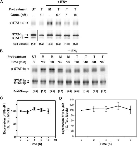 Figure 1. Tat impairs IFNγ-induced phosphorylation of STAT1. (A) PBMos were untreated (UT), mock treated (M), or treated with indicated concentrations of Tat (T) for 4 hours and followed by the treatment of IFNγ (100 U/mL) for 10 minutes. The tyrosine phosphorylation of STAT1 was probed with specific antibodies. Total STAT1 was probed as loading control. The levels of phosphorylation were normalized with total STAT1, whereas the fold changes of individual treatment with reference to the untreated were indicated. Fold change refers to measurement of the indicated band by densitometry. Vertical line has been inserted to indicate a repositioned gel lane. (B) PBMos were untreated (UT), treated with mock (M), or treated with 10 nM Tat (T) for 4 hours and followed by the treatment of IFNγ (100 U/mL) at indicated time intervals (minutes) as shown on top of each panel. Cell lysates were examined by Western blotting using anti-pSTAT1 or anti-STAT1 antibodies as indicated. (C,D) To evaluate the effects of Tat on the expression levels of IFNγ receptors, PBMos were treated with mock or Tat (10 nM) at indicated time intervals. Total RNA was extracted and examined for the mRNA expression levels of (C) IFNγR1 and (D) IFNγR2 by QRT-PCR. All data presented were plotted as mean values ± SEM of at least 3 independent experiments in duplicates.