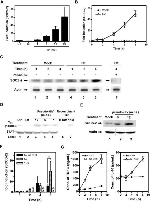 Figure 3. Tat induces SOCS-2 expression in CD14+ PBMos. The mRNA expression levels of SOCS-2 in response to Tat were verified by QRT-PCR using SOCS-2 TaqMan probe. (A) PBMos were untreated (UT), mock treated (M), or Tat treated at indicated concentrations for 4 hours. (B) PBMos were treated with 10 nM Tat at indicated time intervals. (C) The expression levels of SOCS-2 protein were confirmed by Western blotting using specific antibodies. PBMos were mock treated or Tat treated (10 nM) at indicated time intervals. After blotting to PVDF membrane, SOCS-2 protein was probed with specific anti–SOCS-2 antibodies. The SOCS-2 protein band was further verified by competitive Western blotting, of which cell lysates treated with Tat for 4 hours were probed with anti–SOCS-2 antibodies in the presence of purified recombinant SOCS-2 (rhSOCS-2, lane 7). Actin was used as a loading control. (D) HIV Tat expression in HIV-pseudovirus–treated macrophages. Primary blood macrophages were treated with control plasmid, HIV-pseudovirus, or Tat for 48 hours. Total cellular protein (70 μg) was collected and examined by Western blotting using anti-Tat antibodies and anti-STAT1 antibodies. Total STAT1 was probed as a loading control. A representative figure of independent experiments performed on macrophages from 3 different donors is shown. (E) Primary blood macrophages were treated with HIV-pseudovirus or with plasmids alone (mock) for 48 hours and total cellular protein was collected. The SOCS2 expression was measured by Western blot and probed against anti-SOCS2 and actin antibodies. Vertical lines have been inserted to indicate a repositioned gel lane. (F) PBMos were cycloheximide treated (CHX), or Tat treated (10 nM) in the absence or presence of CHX (40 μg/mL) at indicated time intervals. The expression levels of SOCS-2 mRNA were measured by QRT-PCR. ND refers to not detected. The statistical analysis was done by comparison between groups using the Student t test. *P < .05 was considered statistically significant. (G) The expression levels of TNFα and IL-10 from the cell-culture supernatants of PBMos, which were treated with Tat (10 nM) in the absence or presence of cycloheximide (40 μg/mL) at indicated time intervals, were analyzed using specific ELISA kit. All data presented were plotted as mean values ± SEM of at least 3 independent experiments in triplicates.