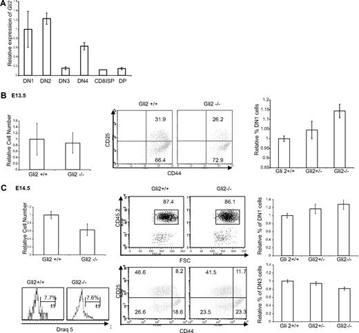 Figure 1. Gli2 expression in thymocytes on E16.5, and function in E13.5 and E14.5 thymus. (A) Gli2 expression in sorted C57BL/6 E16.5 thymocytes. Error bars represent SD. (B) Gli2 affects the transition from DN1 to DN2 in E13.5 embryos (WT, n = 5; Gli2+/−, n = 12; Gli2−/−, n = 8). Relative number of thymocytes on E13.5. To allow comparison between litters, the number of cells in each thymus was divided by the mean of WT littermates to give a relative cell number for each thymus. Dot plots show DN subset composition of E13.5 thymi. Cells were gated for CD45.2+, and analyzed by CD25 and CD44 expression. Bar chart shows the relative percentage of DN1 cells in E13.5 thymi. The difference between WT and Gli2−/− is statistically significant (P = .02). (C) Thymocyte development in E14.5 Gli2−/− and littermate embryos (WT, n = 17; Gli2+/−, n = 27; Gli2−/−, n = 15). Bar chart shows the relative thymocyte number on E14.5. The difference between WT and Gli2−/− is significant (P = .04). Top dot plot shows E14.5 thymocytes stained with anti-CD45.2. Cells positive for CD45.2+ were analyzed for CD25 and CD44 expression. Righthand bar charts show the relative percentage of DN1 and DN3 cells in E14.5 thymi. Differences in mean relative percentages of DN1 and DN3 populations were statistically significant between WT and Gli2−/− (P = .04 and P = .002, respectively). Histograms show Draq5 staining of E14.5 thymocytes. The percentage of cells in G2+S/M is given.