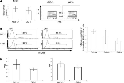 Figure 2. Gli2 function in the E15.5 thymus. (A) Phenotype of E15.5 Gli2−/− thymi (WT, n = 8; Gli2+/−, n = 9; Gli2−/−, n = 7). Bar chart shows the relative number of thymocytes on E15.5; error bars are SD. The difference between WT and Gli2−/− was not statistically significant. Dot plot shows the relative proportions of DN3 and DN4 populations: Cells negative for CD3, CD4, CD8, and CD44 were analyzed for CD25 expression. Cells positive for CD25 (DN3) and negative for CD25 (DN4) were gated separately. There were no significant differences in the proportion of DN3 and DN4 cells on E15.5. (B) Intracellular TCRβ (icTCRβ) expression in the E15.5 WT and Gli2−/− thymus. Histogram plots of icTCRβ staining gated on DN3 (left) and DN4 (right) cells. Bar chart shows the relative percentage of icTCRβ on DN4 cells in E15.5 thymi. The difference between WT and Gli2−/− was statistically significant (P = .02). (C) Bar charts to show degree of Vβ8 to Jβ2.7 (left chart) and Vβ5 to Jβ2.7 (right chart) rearrangement in E15.5 WT and Gli2−/− thymocytes, assessed by Q-PCR.