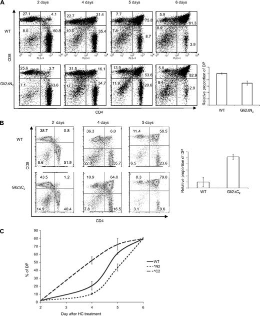 Figure 4. Thymocyte recovery after hydrocortisone treatment in Gli2ΔN2 and Gli2ΔC2 transgenic mice. (A) Dot plots show anti-CD4 and anti-CD8 staining for Gli2ΔN2 transgenic thymocytes and WT littermate thymocytes 2 to 6 days after treatment with HC. Bar chart shows the mean relative proportion of DP cells 5 days after HC treatment for WT and Gli2ΔN2 transgenic mice. The difference in mean percentage of DP cells was statistically significant (P = .01). (B) Dot plots show anti-CD4 and anti-CD8 staining for Gli2ΔC2 transgenic thymocytes and WT littermate thymocytes 2 to 5 days after HC treatment. Bar chart shows the mean relative proportion of DP cells 4 days after HC treatment. The difference in DP percentage was statistically significant (P = .004). (C) Graph of relative kinetics of DP recovery after HC treatment in WT, Gli2ΔN2, and Gli2ΔC2. Error bars represent SD. (Day 2: WT, n = 6; Gli2ΔN2, n = 3; Gli2ΔC2, n = 3. Day 4: WT, n = 7; Gli2ΔN2, n = 3; Gli2ΔC2, n = 3. Day 5: WT, n = 7; Gli2ΔN2, n = 3; Gli2ΔC2, n = 3. Day 6: WT, n = 5; Gli2ΔN2, n = 3; Gli2ΔC2, n = 2.)