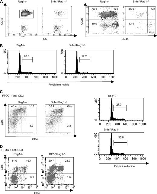Figure 5. The effect of Shh deficiency and Gli2 deficiency on Rag1−/− FTOC stimulated with anti-CD3. (A) Phenotype of E15.5 Shh−/−Rag1−/− and littermate Rag1−/− thymi. (Shh−/−Rag1−/−, n = 5; littermate Rag1−/−, n = 9). Cells positive for CD45.2+ (left dot plot) were analyzed for CD25 and CD44 expression (right dot plot). (B) Propidium iodide staining of thymocytes from Shh−/−Rag1−/− and littermate Rag1−/− thymi as in panel A. The percentage of cells in G2+M/S is given. (C) E15.5 Shh−/−Rag1−/− and littermate Rag1−/− fetal thymus organ cultures (FTOCs) were treated for 3 days with 1 μg/mL anti-CD3 mab. Dot plots show CD4 and CD8 profiles. (Shh−/−Rag1−/−, n = 5; littermate Rag1−/−, n = 9). Histograms show propidium iodide staining on thymocytes from the anti-CD3–treated Shh−/−Rag1−/− and littermate Rag1−/− FTOC. The percentage of cells in G2+M/S is given. (D) E17.5 Gli2−/−Rag1−/− and littermate Rag1−/− FTOCs were treated for 5 days with 0.5 μg/mL anti-CD3 mab. Dot plots show CD4 and CD8 profiles. (Gli2−/−Rag1−/−, n = 4; littermate Rag1−/−, n = 8.)