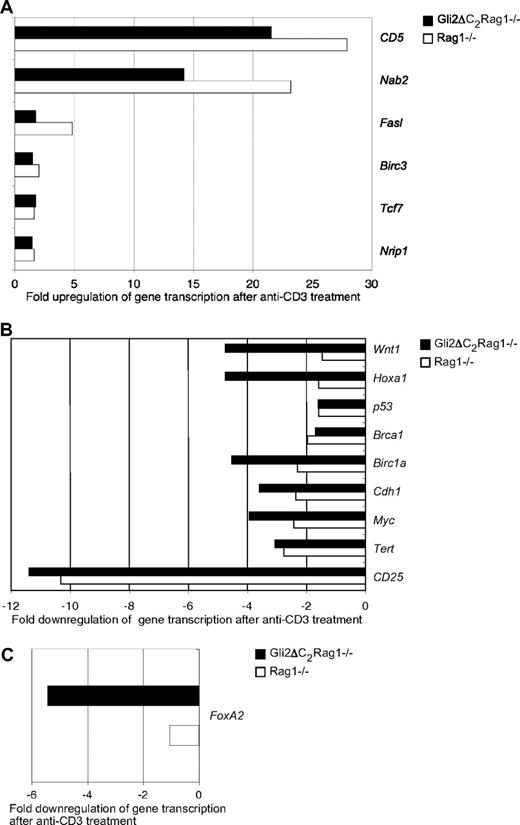 Figure 7. PCR array analysis of gene transcription in control and anti-CD3–treated Rag1−/− and Gli2ΔC2Rag1−/− thymocytes. Bars show average fold change in gene transcription on anti-CD3 treatment, relative to transcription in untreated samples. Values were calculated by dividing the average gene transcription in the treated samples (Rag1−/− + anti-CD3 or Gli2ΔC2Rag1−/− + anti-CD3) by the corresponding ones from the control samples (Rag1−/− or Gli2ΔC2Rag1−/−). (A,B) All genes shown exhibited statistically significant change after anti-CD3 treatment in Rag1−/− and/or Gli2ΔC2Rag1−/− thymocytes. (A) Genes significantly up-regulated after anti-CD3 treatment. P values for Rag1−/−: Nrip1, P = .02; Tcf7, P = .06; Birc3, P = .02; Fasl, P = .04; Nab2, P = .002; and CD5, P = .004. P values for Gli2ΔC2Rag1−/−: Nrip1, P = .005; Tcf7, P = .03; Birc3, P = .5; Fasl, P = .4; Nab2, P = .04; and CD5, P = .02. (B) Genes significantly down-regulated after anti-CD3 treatment. P values for Rag1−/−: CD25, P = .002; Tert, P = .07; Myc, P = .01; Cdh1, P = .04; Birc1a, P = .05; Brca1, P = .007; p53, P = .1; Hoxa1, P = .005; and Wnt1, P = .03. P values for Gli2ΔC2Rag1−/−: CD25, P = .01; Tert, P = .01; Myc, P = .06; Cdh1, P = .08; Birc1a, P = .2; Brca1, P = .04; p53, P = .04; Hoxa1, P = .2; and Wnt1, P = .3. (C) Change in transcription of FoxA2 after anti-CD3 treatment. Difference in change in transcription of FoxA2 was significant between genotypes, P = .05.