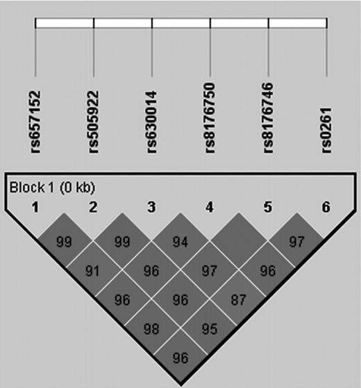Figure 2. Linkage disequilibrium matrix (expressed in terms of D′) observed at the ABO locus in the case-control MARTHA samples.