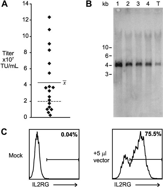 Figure 7. Construction of high-titer clinical vector producer cells. (A) Distribution of calculated ED7R cell titer of supernatants from 20 independent producer clones for SCID-X1 clinical vector. Each point represents an individual clone, and the horizontal bar shows the average of the titers from all of the clones. The dashed line indicates the highest titer achieved for an identical vector prepared using 4-plasmid transient transfection of 293T cells. (B) Southern blot analysis of ED7R genomic DNA after transduction with 50 μL supernatant from the top 4 cloned producer cell lines (lanes 1-4, in order of decreasing titer) and from transiently transfected 293T cells (lane T). The SbfI enzyme used cuts once in each copy of the chromatin insulator, and it is expected to generate a 4-kb fragment spanning the complete provirus. (C) Flow cytometry histograms of human common γc antibody binding to ED7R cells 4 days after incubation with either fresh media (Mock), or 5 μL supernatant produced by the top performing stable producer cell clone.