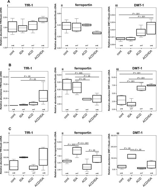 Figure 1. Changes of iron metabolism gene expression in liver, spleen, and duodenum between the different anemia groups. Rats were inoculated on day 0 with an intraperitoneal injection of PG-APS to induce anemia of chronic disease (ACD) or left untreated (control). One group of PG-APS-treated and control rats was phlebotomized, starting 1 week before death, to create a combination of ACD and iron deficiency anemia (ACD/IDA) or IDA alone, respectively. Nitrogen snap-frozen tissue was subjected to RNA preparation, followed by reverse transcription and quantitative TaqMan PCR. In the liver (A), spleen (B), and duodenum (C), the TfR-1 (i), ferroportin (ii), and DMT-1 (iii) mRNA expression was determined by quantitative RT-PCR and normalized to the mRNA expression level of the housekeeping gene β-gluconidase (Gusb). Data are depicted as lower quartile, median, and upper quartile (boxes) and minimum/maximum ranges (whiskers). Calculations for statistical differences between the various groups were carried out by analysis of variance technique and Bonferroni correction for multiple tests.