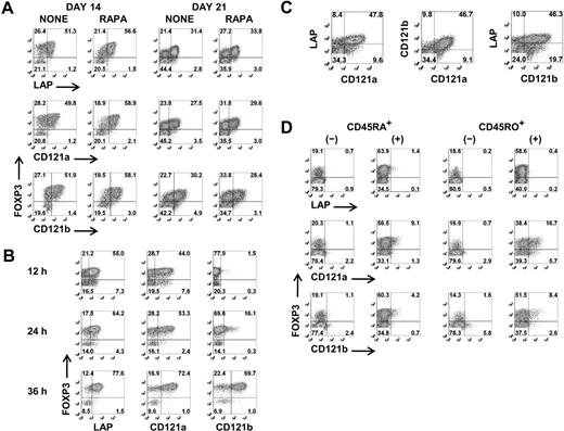 Figure 2. Selective expression of LAP, CD121a, and CD121b on activated Tregs. (A) Flow cytometric analysis of surface LAP, CD121a, and CD121b and intracellular FOXP3 expression on day 14 and day 21 Treg expansion cultures after restimulation for 48 hours with anti-CD3/CD28 (data are from 1 representative donor of 6). (B) Kinetics of LAP, CD121a, and CD121b expression on fresh Tregs stimulated with anti-CD3/CD28 and 100 U/mL IL-2. (C) Costaining of LAP, CD121a, and CD121b on 48-hour restimulated day 14 cultures (data are from 1 donor representative of 6). (D) Expression of LAP, CD121a, and CD121b on 48-hour restimulated day 14 CD4+CD25−CD127+CD45RA+ and CD45RO+ T cells previously stimulated on day 0 with anti-CD3/CD28 and IL-2 for 5 days in the absence (−) or presence (+) of TGFβ1 and rested in IL-2 until day 12. Data are representative of 3 independent experiments. Number in each quadrant represents the percentage of total population.