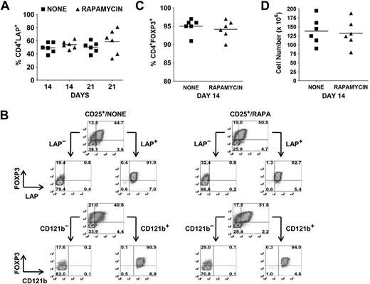 Figure 3. Selective expression of LAP and CD121b allows for separation of Tregs from non-Tregs in ex vivo expansion cultures. (A) Percentage of CD4+LAP+ cells after 48 hours of restimulation of day 14 and 21 expansion cultures. (B) Day 14 expansion cultures generated in the absence (CD25+/NONE) or presence (CD25+/RAPA) of rapamycin were restimulated for 48 hours with anti-CD3/CD28. LAP+/LAP− and CD121b+/CD121b− fractions were then purified with magnetic beads and analyzed by flow cytometry for FOXP3 expression. Number in each quadrant represents the percentage of total population. (C) Percentage of CD4+FOXP3+ and (D) cell yield after purification of LAP+ cells from restimulated 14-day expansion cultures. Horizontal lines in panels A, C, and D represent the mean of each group.