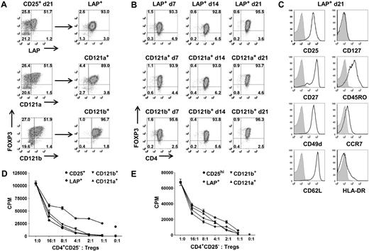 Figure 5. LAP+, CD121a+, and CD121b+ Tregs maintain purity, suppressive function, and phenotype after expansion. (A) Expression and purification based on LAP, CD121a, and CD121b on 48-hour restimulated CD25+ cells initially obtained with one-step CD25 selection method and expanded for 21 days. (B) Analysis of FOXP3 during an additional 21 more days of expansion for LAP+, CD121a+, and CD121b+ Tregs with anti-CD3/CD28 Dynabeads and IL-2 and (C) their typical Treg surface markers at the end of the 21-day expansion (42 total days in culture). Data are representative of CD121a+ and CD121b+ Tregs as well. Numbers in quadrants in panels A and B represent percentage of total population. (D) In vitro suppression assay of day 21 unseparated CD25+ cells (CD25+) and postpurified LAP+, CD121a+, and CD121b+ Tregs from panel A. Error bars represent SEM. (E) In vitro suppression assay of fresh Tregs (CD25hi) and 21-day expanded LAP+, CD121a+, and CD121b+ Tregs from panel B. Error bars represent SEM.