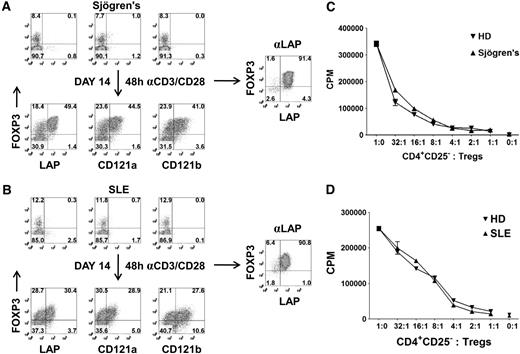 Figure 6. Expansion and purification of Tregs from patients with Sjögren syndrome and SLE with 5 to 10 mL peripheral blood. Expression of LAP, CD121a, CD121b, and FOXP3 on CD4+ T cells from a patient with (A) Sjögren syndrome or (B) SLE (top). Correlation of LAP, CD121a, and CD121b with FOXP3 on 48-hour restimulated CD25+ cells from one-step CD25 selection method expanded for 14 days (bottom). Numbers in each quadrant represent percentage of total population. Right panel represents the FOXP3 purity after reisolation with anti-LAP from day 14–expanded CD25+ cells of patients with Sjögren syndrome and SLE. In vitro suppression assay of LAP+ Tregs from patient with (C) Sjögren syndrome or (D) SLE, comparing with LAP+ Tregs from healthy control donors (HD). Data represent 1 of 3 patients with Sjögren syndrome and SLE. Error bars represent SEM.