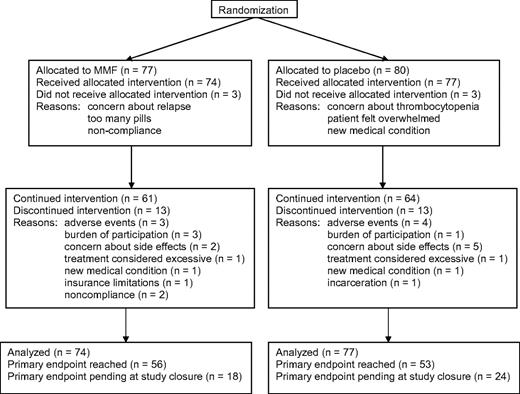Figure 1. Flow diagram summarizing results of the randomization, administration of the study drug, and analysis of results at the end of the study.