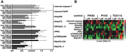 Figure 6. Inhibition of PI3K-AKT signaling and up-regulation of apoptosis-related proteins by PIK-90 and PI-103. (A) PIK-90 and PI-103 reduce CXCL12-induced phosphorylation of Akt (especially at Ser473) and of its downstream effector S6 ribosomal protein (at Ser235/236 and Ser240/244) and produce a trend to increased cleavage of the apoptosis-related proteins caspase 7 and its target poly-(ADP-ribose) polymerase (PARP). To generate the bar graphs, (phospho)protein expression of B CLL cells from 5 different patients was quantified with RPPA, and the quantification data were then corrected for loading and normalized to controls that were stimulated with CXCL12 but not preincubated with PI3K inhibitors. Each bar represents the mean (± SEM; n = 5) relative quantity of the (phospho)proteins that are displayed on the right vertical axis after pretreatment with the PI3K inhibitors that are indicated on the left vertical axis and stimulation of all samples with CXCL12 for 5 minutes. *Significant differences from the control samples. (B) Heat map showing decreases in phosphorylation of PI3K-AKT signaling proteins and increases of the apoptosis-related proteins cleaved caspase 7 and cleaved PARP in 5 different CLL patients after treatment with PI3K inhibitors. To generate this heat map, protein expression was quantified with RPPA, and the quantification data were corrected for loading and normalized to respective control samples from each patient who were stimulated with CXCL12 but not pretreated with PI3K inhibitors. Each square represents expression levels of the respective proteins indicated on the vertical axis for one individual CLL sample. The PI3K inhibitors and their respective concentrations are displayed on the top horizontal axis, whereas the bottom horizontal axis indicates that all samples were stimulated for 5 minutes with CXCL12. Shades of red and green indicate up- or down-regulation of a given (phospho)protein, respectively, in comparison with the levels in untreated control cells from each patient (the latter were normalized to a black color in each case).