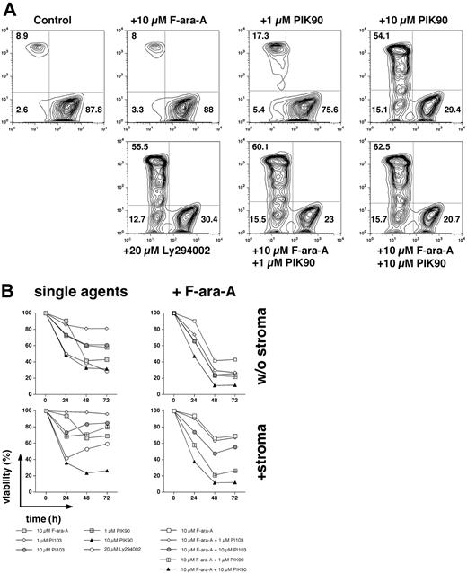 Figure 7. PI3K inhibitors sensitize CLL cells to fludarabine. CLL B cells were cultured with or without marrow stromal cells and treated with PI3K inhibitors alone (single agents) or a combination of PI3K inhibitors and fludarabine (+F-ara-A). (A) Contour plots of viable (bottom right quadrant), apoptotic (bottom left quadrant), and dead (top left quadrant) CLL cells from a representative patient, cultured on marrow stromal cells, and treated with the reagents indicated above or below each of the plots. Next to each of these cell populations, the relative proportion of viable, apoptotic, and dead cells is displayed. Pretreatment of CLL cells with the PI3-K inhibitors Ly 294002, PI-103, and PIK-90 enhanced the cytotoxicity of fludarabine and also partially reversed the protective effect of stromal cells on fludarabine-induced apoptosis. In this case, F-ara-A treatment alone did not affect CLL viability, and treatment with PIK-90 at 1 μM reduced the viability to 75.6% from 87.8% in the controls. However, the combination of both drugs decreased the viability to 23%, suggesting synergism at this concentration. (B) This graph summarizes the effects of PI3K inhibitors alone and in combination with F-ara-A in cultures with or without marrow stromal cells in 10 different CLL cell samples and at 3 different time points. The viability of CLL cells was assessed at the time points indicated on the horizontal axis by staining with DiOC6 and PI. Each data point in panel B represents the mean (± SEM; n = 10) relative viability of treated CLL B cells compared with the untreated controls (100%).