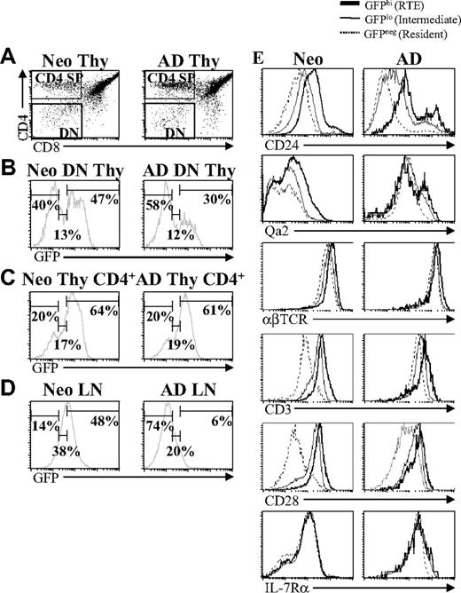Figure 1. RTEs are more abundant in neonates than adults. Thymocytes from neonatal (7-day-old) and adult (6- to 8-week-old) RAG2p-GFP+/− mice were stained for CD4 and CD8. (A) Gates were set on DN and CD4+ SP cells. (B) GFP expression within the gated DN thymocyte population was then used to define GFPhi RTEs, GFPlo intermediates, and GFP− resident cells. The percentage of RTEs, intermediate, and resident cells among CD4+ SP thymocytes (C) and CD4+ LN cells (D) was then determined based on the gates set on DN thymocytes (B). (E) Using the GFP gates defined in panel B, the expression of CD24, Qa2, αβTCR, CD3, CD28, and IL-7Rα was determined on CD4+ RTEs, intermediate, and resident LN cells from neonates and adults. Histograms shown are representative of staining profiles from 6 to 14 individual neonates and 6 to 9 individual adults. For IL-7Rα, data represent 2 independent experiments, using a pool of LN cells from 14 or 15 neonates and 2 adults per experiment.