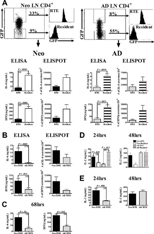 Figure 2. Neonatal RTEs produce higher levels of IL-2 and Th1/Th2 cytokines than adult RTEs in response to PBαCD3 and αCD28 stimulation. (A) GFPhi RTEs and GFP− resident cells were sorted from purified neonatal and adult LN CD4+ cells, as described in “Preparation of cells from neonatal and adult RAG2p-GFP+/− mice.” Neonatal (left) and adult (right) RTEs and resident cells were activated for 48 hours with 0.5 μg/well PBαCD3 and 0.5 μg/mL soluble αCD28 (lower concentrations of PBαCD3, 0.005 or 0.05 μg/well, elicited only low-level cytokine production). Cytokine production and the number of cytokine-secreting cells were then determined. Graphs depict pooled data from 8 to 11 ELISA experiments and 3 ELISPOT experiments and are shown as the mean ± SEM; n = 35 to 60 neonates and 4 to 6 adults per experiment. (B) The data from panel A were regraphed to show a direct comparison of neonatal and adult RTEs. (C) Neonatal and adult RTEs were stimulated with PBαCD3 and αCD28 for 68 hours. Cytokine production was determined by ELISA. Graphs depict pooled data from 4 experiments; n = 18 to 35 neonates and 2 to 17 adults per experiment. (D) Sorted RTEs and resident cells from neonates and adults were stimulated with PBαCD3 and soluble αCD28 as described in panel A for 24 and 48 hours. Supernatants were harvested at each time point and assayed for IL-2 by ELISA. Graphs depict pooled data from 4 or 5 experiments; n = 18 to 25 neonates and 2 adults per experiment. (E) The data from panel D were regraphed to show a comparison of neonatal and adult RTEs.