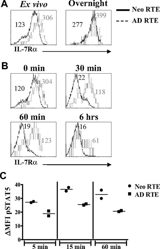 Figure 6. IL-7Rα is down-regulated more rapidly on neonatal RTEs than on adult RTEs after exposure to IL-7 and is associated with higher levels of pSTAT5. (A) Purified CD4+ lymph node cells from RAG2p-GFP+/− neonates and adults were either stained directly ex vivo with anti–IL-7Rα (left panel) or were cultured overnight in complete media before staining (right panel). IL-7Rα expression on RTEs was determined by gating on CD4+GFPhi cells. (B) Purified CD4+ LN cells from neonatal and adult RAG2p-GFP+/− mice were either stained directly ex vivo (0 minutes) or cultured with 10 ng/mL IL-7 for 30 minutes, 60 minutes, or 6 hours, and then stained with anti–IL-7Rα. IL-7Rα expression on RTEs was determined by gating on CD4+GFPhi cells. IL-7Rα mean fluorescence intensity (MFI) for neonatal (in black) and adult (in gray) RTEs are shown in each histogram. Histograms represent data from 2 independent experiments; n = 2 adults and 15 neonates per experiment. In panels A and B, curves represent 800 to 2000 gated CD4+GFPhi RTEs for adults and 7000 to 13 000 gated CD4+GFPhi RTEs for neonates. (C) Sorted neonatal and adult RTEs were cultured overnight in complete media. The cells were then stimulated with IL-7 (10 ng/mL) for 5 to 60 minutes, fixed and permeabilized, and stained intracellularly for pSTAT5. The specificity of the staining was confirmed by competition with an excess of unlabeled pSTAT5 antibody (data not shown). Points represent pSTAT5 MFI data from 2 independent experiments; n = 40 to 49 neonates and 4 adults per experiment. ΔMFI was calculated by subtracting the MFI of pSTAT5 in the absence of IL-7 from the pSTAT5 MFI at each time point.