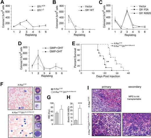 Figure 2. Gfi1 loss of function predisposes to leukemia. (A) Methylcellulose colony-forming assay with serial replating of wild-type and Gfi1−/− (Gfi1Δex4-5/Δex4-5) Lin− bone marrow cells. (B) Methylcellulose colony-forming assay with serial replating of sorted Lin− wild-type bone marrow cells transduced with retrovirus vectors expressing Gfi1 (Gfi1 WT) or an empty vector control (Vector). (C) Methylcellulose colony-forming assay with serial replating of sorted wild-type bone marrow cells transduced with retrovirus vectors expressing Gfi1 dominant-negative mutants (P2A or N382S) or an empty vector control (Vector). (D) Methylcellulose colony-forming assay with serial replating of Rosa-CreERT2+ Gfi1fex4-5 fex4-5 sorted GMPs with or without tamoxifen (OHT) added in vitro to activate the CreERT2 protein and delete floxed Gfi1 alleles. (E) Survival curve of Mx1Cre+K-ras lslG12D (n = 7) or Mx1Cre+ K-ras lslG12D Gfi1fex4-5/fex4-5 (n = 7) mice beginning at time of pIpC injections. (F) Photomicrographs (40 ×) of peripheral blood smears from animals upon humane killing from panel E with insets showing myeloid forms and blasts. (G) Peripheral white blood cell (WBC) counts from mice in panel E. (H) Peripheral blood myeloblast counts from mice in panel E. (I) Photomicrographs (5 ×) of H&E-stained splenic tissue from mice in panel E (primary) or recipients of 105 spleen cells from moribund Mx1Cre+ K-ras lslG12D Gfi1fex4-5/fex4-5 animals in panel E (secondary). Error bars indicate SEM. **P ≤ .01, ***P ≤ .001.