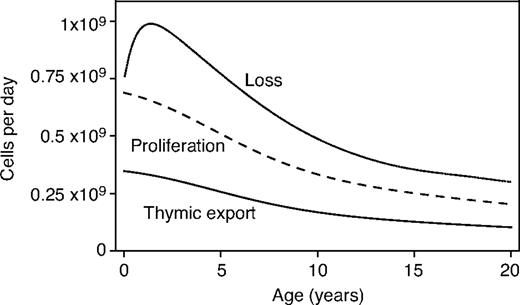 Figure 5. Estimated mean absolute daily contributions of thymic export (solid line), peripheral division (dashed), and peripheral loss (dotted) to the dynamics of the naive CD4+ T-cell pool with age, using the lower bound on the TREC content of RTEs; c = 0.25.