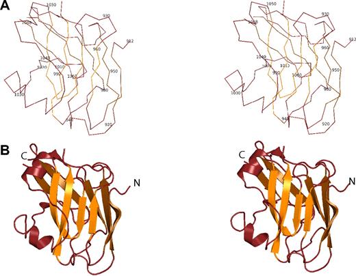 Figure 2. Structure of the the ZU5-ANK β-spectrin binding domain. (A) Stereo diagram showing the Cα trace of ZU5-ANK. Residues are numbered corresponding to their location in the intact ankyrinR molecule. In the diagram, adjacent Cα atoms are joined by a line. (B) Ribbon stereo diagram of the ZU5-ANK subdomain in the same orientation as in panel A. The overall structure is compact and well-folded with a β-sheet–rich core and several loops. β strands are shown as arrows, helical regions as coils, and regions with no well-defined secondary structure as lines. lines. Rotating views of several representations of the molecule are shown in Video S2 (available on the Blood website; see the Supplemental Materials link at the top of the online article).