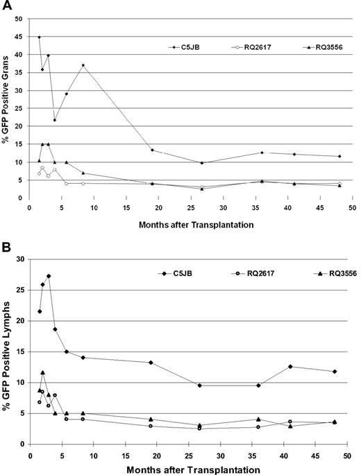 Figure 1. Stable, long-term SIV lentiviral vector expression in myeloid and lymphoid cells of animals that received a transplant. The percentage of GFP+ granulocytes (A) and lymphocytes (B) at various time points after transplantation in the 3 rhesus macaques CJ5B, RQ2617, and RQ3556.