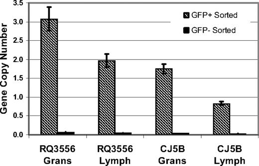 Figure 5. qPCR for VCN in GFP+ and GFP− cell populations demonstrates the lack of vector silencing. Vector copy number in the GFP+ () and GFP− (■) sorted granulocytes and lymphocytes of animals CJ5B and RQ3556. For vector copy number, mean of triplicate samples shown with error bars.