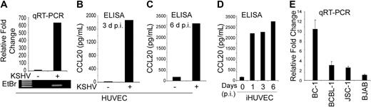Figure 1. KSHV up-regulates CCL20 expression in HUVEC and PEL cell lines. (A) HUVECs were infected with KSHV for 48 hours, and expression of CCL20 was measured by quantitative RT-PCR analysis and normalized to GNB2L1 (housekeeping control). PCRs were performed in triplicate and the data presented as fold change in target gene expression (mean ± SE). The results of the quantitative RT-PCR analysis were confirmed by separating the products (5.0 μL) on a 1.5% agarose gel followed by staining with ethidium bromide (bottom panel). (B,C) Cellular supernatants from KSHV-infected HUVECs were collected 3 days (B) and 6 days (C) after infection and used to measure the secretion of CCL20 by ELISA. The values shown are averages (mean ± SE) of 1 representative experiment of 3 in which the level of CCL20 secretion was measured in duplicate. (D) Kinetics of CCL20 up-regulation in KSHV-infected iHUVEC as measured by ELISA. (E) Level of CCL20 mRNA expression, as measured by quantitative RT-PCR, in PEL cell lines naturally infected with KSHV (BC-1, BCBL-1, and JSC-1). The KSHV-negative BJAB cell line was used as negative control.