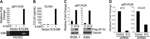 Figure 2. K13 induces CCL20 expression in HUVEC and PEL cell lines. (A) HUVECs stably expressing a control vector or K13-ERTAM were mock-treated or treated with 4-OHT (50 nM) for 48 hours after which RNA was extracted and used for quantitative RT-PCR. The results of the quantitative RT-PCR analysis were confirmed by agarose gel electrophoresis (bottom panel). (B) Supernatants from cells treated in panel A were used for the measurement of CCL20 protein by ELISA. (C) Quantitative RT-PCR analysis showing increased expression of CCL20 mRNA in BCBL-1 and K562 cells stably transduced with a Flag-K13–expressing retroviral vector (top panel). The expression of Flag-tagged K13 in cell lysates was confirmed by immunoblotting (bottom panel). (D) Quantitative RT-PCR analyses showing down-regulation of K13 and CCL20 mRNAs in BCBL-1 cells infected with a K13 shRNA-expressing lentiviral vector compared with cells infected with a control shRNA vector.
