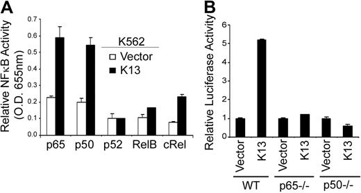 Figure 4. K13 triggers the recruitment of p65, p50, and c-Rel to the CCL20 promoter. (A) An ELISA-based NF-κB binding assay showing increased binding of p65, p50, and c-Rel subunits in nuclear extracts derived from K13-expressing cells to the NF-κB site present in the CCL20 promoter. (B) K13 fails to activate CCL20 promoter in p65 and p50 knockout cells. WT and p65−/− and p50−/− MEFs were transfected with an empty vector or K13 along with a CCL20-WT-Luc (75 ng/well) and a Renilla reporter construct using Lipofectamine. The luciferase assay was performed 48 hours after transfection as described previously.35