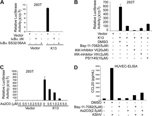 Figure 5. Role of NF-κB pathway in K13-induced CCL20 promoter activation. (A) Dominant-negative mutants of IκBα (IκBαΔN and IκBαSS32/36AA) block K13-induced CCL20 promoter activity. The 293T cells were transfected either with an empty vector or K13, along with a CCL20 luciferase reporter construct and a β-galactosidase reporter construct, as described in Figure 3A. The amount of IκBα mutant plasmids (500 ng/well) was 5 times the amount of vector or K13 (100 ng/well) plasmid, and the total amount of transfected DNA was kept constant by adding empty vector. The values shown are averages (mean ± SE) of 1 representative experiment of 3 in which each transfection was performed in duplicate. (B,C) Pharmacologic inhibitors of NF-κB block K13-induced CCL20 promoter activation. The 293T cells were transfected with an empty vector or a vector encoding K13, and 30 minutes after transfection treated with dimethyl sulfoxide (vehicle) or the indicated compounds for 16 hours before cell lysis. Reporter assay was performed as described for Figure 3A. (D) HUVECs were pretreated with Bay-11-7082 (5 μM) or As2O3 (2.5 μM) for 2 hours and subsequently infected with KSHV as described previously.31 Four hours after infection, the medium was changed with fresh medium containing Bay-11-7082 or As2O3. After overnight incubation, supernatant was collected and CCL20 secretion was measured as described in Figure 1B.