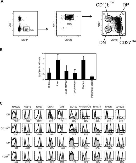 Figure 1. NK-cell differentiation includes DN NK cells. (A) Representative flow cytometry analysis of the expression of CD3, EGFP, CD122, NK1.1, CD27, and CD11b by splenic lymphocytes of NDE mice showing the gates used to identify NK cells and NK-cell subsets defined by CD27/CD11b expression. (B) Frequency of DN NK cells among total NK cells from different organs of NDE mice; n = 4 to 30 mice. (C) Expression of various cell-surface or intracellular molecules by gated splenic DN NK cells versus the other NK-cell subsets. Results are representative of 3 experiments.