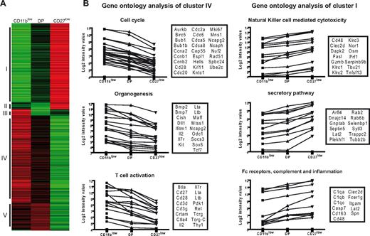 Figure 3. Gene profiling experiments reveal a dissociation between proliferation and effector functions in maturing NK cells. Gene expression profiles of sorted NK-cell subsets (n = 2 for each subset) were generated using pan-genomic microarrays. (A) Differentially expressed genes were identified and clustered according to their expression profile. The different clusters were numbered I to V. (B) A gene ontology analysis was performed on genes of the clusters I and IV. Highly significant terms are shown with the associated genes (boxes) and their expression profile in the 3 NK-cell subsets.