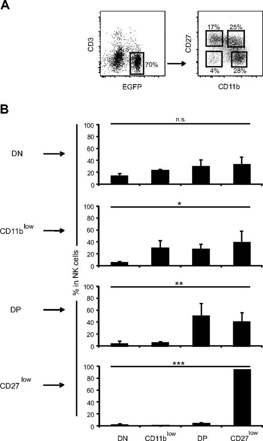 Figure 5. Adoptive transfers of sorted NK-cell subsets. (A) The 4 NK-cell subsets were sorted by flow cytometry from the spleen of NDE mice using the sorting gates. Cells were then individually transferred into unirradiated recipient mice. Fourteen days later, the progeny of transferred cells was tracked in the spleen of recipient mice thanks to EGFP expression. (B) Their expression of CD27 and CD11b was measured, and the frequency of each subset was calculated for each adoptive transfer, as indicated. Mean ± SD of 3 independent experiments. We used a one-way analysis of variance test with posttest of linear trend to test whether there was a trend such that values increase as one moves from left to right (ie, from DN to CD27low). This test gave significant results for all comparisons except for the transfer of DN NK cells, as predicted if DN NK cells were precursors of the other subsets. n.s. indicates not significant. *P < .05, **P < .01, ***P < .001.