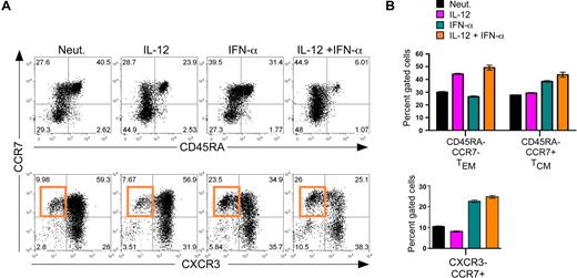Figure 2. Regulation of human CD8+ TCM development by IFN-α. Day 7 cytokine-polarized cells were stained with a panel of anti–human monoclonal antibodies, including CCR7, CD45RA, and CXCR3, to assess memory and effector phenotypes. (A) Analysis of surface markers CCR7 and CD45RA (top panel) and CCR7 and CXCR3 (bottom panel). The induction of CCR7high/CXCR3low cells by IFN-α is indicated by the orange gate. (B) Quantification of human effector and memory profile (top) and chemokine receptor profile (bottom) regulated by IL-12 and IFN-α. Black indicates neutralized; magenta, IL-12; teal, IFN-α; and orange, IL-12 + IFN-α. Error bars represent the SD of triplicate determinations of each condition. These experiments were performed with 7 different healthy donors with similar results.