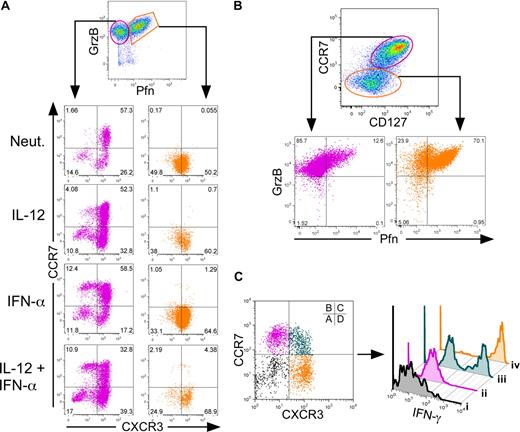 Figure 3. Human CD8+ TEM and TCM cells display distinct effector properties. Day 7 cytokine-polarized cells were assessed for surface marker and cytokine expression. (A) Cells were gated on live CD8+ cells, and perforin and granzyme B levels were assessed. Cells were gated on either granzyme B single-positive cells (magenta) or perforin–granzyme B double-positive cells (orange) and examined for CCR7 and CXCR3 expression (bottom panels). (B) Live CD8+ cells were gated through either CCR7high, CD127high cells (magenta) or CCR7 and CD127low cells (orange) and assessed for perforin and granzyme B expression (bottom panels). (C) PMA- and ionomycin-activated cells were gated on either CCR7low/CXCR3low (i, black), CCR7high/CXCR3low (ii, magenta), CCR7high/CXCR3high (iii, teal), or CCR7low/CXCR3high (iv, orange), and examined for IFN-γ expression by intracellular staining (right panel).