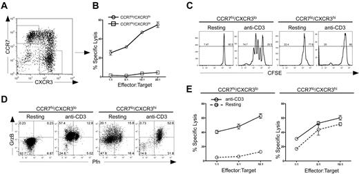 Figure 4. CCR7 and CXCR3 expression demarcates distinct subpopulations of human CD8+ T cells with functional effector and memory properties. (A) Sorted CD8+ CD45RA+ cells were activated with IL-12 plus IFN-α to day 7. Cells were then sorted into separate CCR7high/CXCR3low or CXCR3high/CCR7low populations. (B) Sorted cells were rested overnight in the absence of IL-2 and subjected to a 51Cr-redirected lysis assay with THP-1 target cells at the indicated E:T ratios. (C) Sorted cells were labeled with CFSE and left untreated (resting) or activated with 1.5 μg/mL plate-bound anti–human CD3 for 3 days (anti-CD3). On day 3, cells were assessed for proliferation by CFSE dilution. (D) Sorted cells were activated, as described in panel C, and examined at day 3 for expression of perforin and granzyme B by bivariant dot plot analysis. (E) Sorted cells were either left untreated (resting) or activated with 1.5 μg/mL anti-CD3 for 3 days (anti-CD3). On day 3, CCR7high/CXCR3low cells (left panel) and CXCR3high/CCR7low cells (right panel) were subjected to a redirected lysis assay, as described above. Each of these experiments was performed twice with 2 separate healthy donors with similar results.