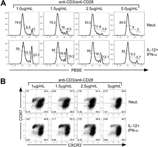 Figure 6. TCR signal strength regulates cytokine-dependent TCM development. CD8+ CD45RA+ sorted cells were labeled with PBSE and polarized under either neutralizing or IL-12 + IFN-α conditions with 1 μg/mL, 1.5 μg/mL, 2.5 μg/mL, or 5 μg/mL anti-CD3/anti-CD28 for 5 days. (A) Assessment of division by PBSE dilution as a function of primary activation strength. The percentages of cells that are contained within each gate are indicated above the gate. (B) Cells were analyzed for expression of CXCR3 and CCR7 by bivariant dot plot analysis.