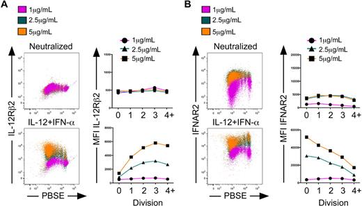 Figure 7. The development of human CD8+ TEM and TCM cells is regulated by both cytokine signaling and strength of primary activation. CD8+ CD45RA+ sorted cells were labeled with PBSE and polarized under neutralizing or IL-12 + IFN-α conditions with 1 μg/mL, 2.5 μg/mL, or 5 μg/mL anti–human CD3 and anti–human CD28 for 5 days. Cells were assessed for expression of IL-12Rβ2 (A) or IFNAR2 (B) as a function of division. Quantification of mean fluorescence intensity is displayed as a function of division for IL-12Rβ2 (A right panels) or IFNAR2 (B right panels) in neutralized (top panels) or IL-12 + IFN-α (bottom panels) cells.