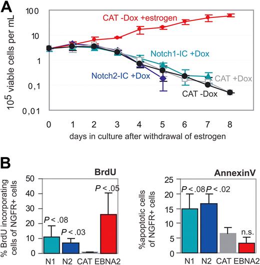 Figure 5. Neither Notch1-IC nor Notch2-IC can maintain B-cell immortalization in the absence of EBNA2. Cells were deprived of estrogen, and Notch1-IC, Notch2-IC, CAT, and EBNA2 were immediately induced by addition of doxycyline and estrogen, respectively. (A) The maintenance of immortalization in Notch1-IC/EREB (Notch1-IC + Dox), Notch2-IC/EREB (Notch2-IC + Dox), and CAT/EREB (CAT + Dox; CAT-Dox) cells in the absence of estrogen was investigated by counting living cells over a period of 8 days after withdrawal of estrogen. CAT/EREB cells after readdition of estrogen (CAT-Dox + estrogen) were used as positive control. Fresh culture medium was added every other day. CAT/EREB cells in the presence of estrogen were diluted when the cells reached a density of 106 cells/mL. These dilutions were included in the calculation of the depicted cell numbers. (B) BrdU incorporation was used as a marker for proliferation. Three days after estrogen withdrawal, the indicated cell lines Notch1-IC/EREB (N1), Notch2-IC/EREB (N2), and CAT/EREB (CAT) were incubated with BrdU for 4 hours. BrdU incorporation into ΔNGFR+ cells was analyzed by FACS. Apoptotic cells were determined 3 days after estrogen withdrawal by annexin V/7-AAD staining. Percentage of early apoptosis was measured by analyzing annexin V+7-AAD− cells in ΔNGFR+ cells of Notch1-IC/EREB (N1), Notch2-IC/EREB (N2), and CAT/EREB (CAT). As positive control, CAT/EREB cells, which were reinduced by estrogen immediately after estrogen withdrawal, were analyzed (EBNA2). Both diagrams show mean values of 4 independent experiments. P values were determined by Student t test comparing Notch1-IC/EREB (N1), Notch2-IC/EREB (N2) in the absence of estrogen and CAT/EREB in the presence of estrogen (EBNA2) with the control CAT/EREB (CAT) in the absence of estrogen.