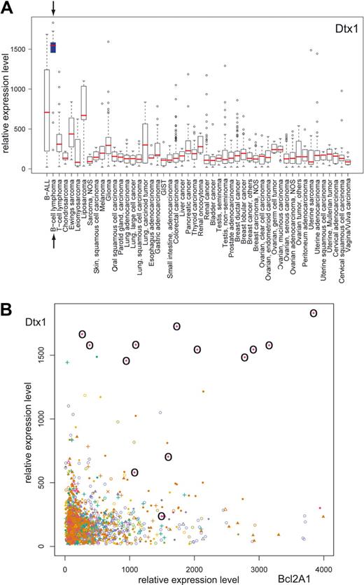 Figure 7. DTX1 is highly expressed in B-cell lymphomas and is associated with high BCL2A1 expression. The GeneSapiens database of gene expression patterns was analyzed for DTX1 expression. (A) Box-plot analysis of the DTX1 expression levels across a variety of cancer tissues. The box refers to the quartile distribution (25%-75%) range, with the median shown as a red horizontal line. In addition, the 95% range and individual outlier samples are shown. The group of B-cell lymphomas is highlighted by arrows and a blue box. (B) Correlation plot of DTX1 and BCL2A1 expression across a variety of cancer tissues. All samples from B-cell lymphomas are highlighted by circles.