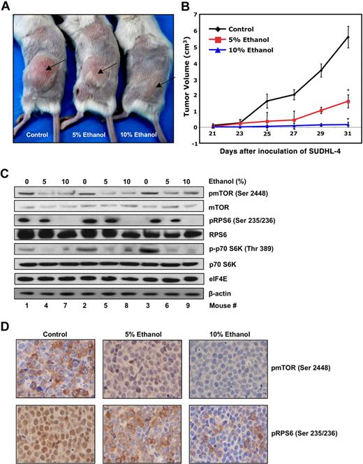 Figure 5. Chronic ethanol treatment demonstrates significant antilymphoma activity in a human xenograft mouse model. Twenty-one mice were divided into 3 groups (control vs 5% EtOH vol/vol vs 10% EtOH vol/vol) with 7 mice each. Mice were injected subcutaneously with SUDHL-4 cells and continued on ethanol treatment for remainder of experiment. (A) Representative mice (mice 2, 5, and 8 from Western blots) were photographed before death to visually demonstrate tumor growth. (B) The average tumor volume of each group (n = 7) with SD is shown as a function of time (*P ≤ 2.17 × 10−5). (C) Xenograft tumors were excised from mice for further analysis. Tumors from control (1-3) 5% EtOH (4-6) and 10% EtOH (7-9) were lysated to obtain protein extracts. A total of 50 μg protein lysates was analyzed by Western blot and immunoblotted for pmTOR (Ser 2448), mTOR, pRPS6, RPS6, p-p70S6K, p70S6K, eIF4E, and β-actin. (D) Immunohistochemistry of paraffin-embedded xenograft tumors, excised from mice treated with ethanol (control vs 5% EtOH vol/vol vs 10% EtOH vol/vol), anti-pmTOR, and anti-pRPS6 antibody.