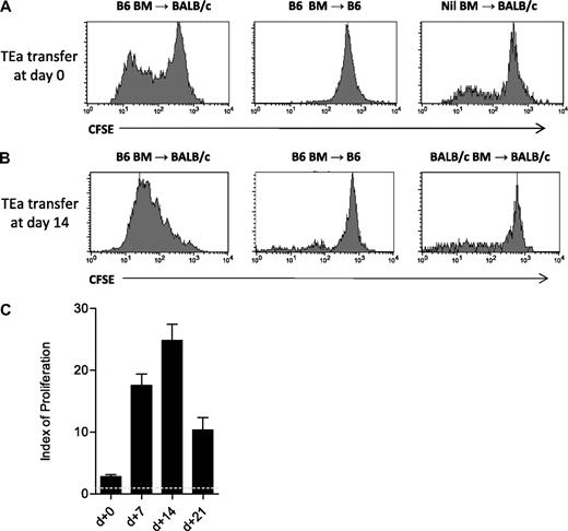 Figure 1. Quantification of indirect alloAg presentation using TEa Tg T cells. (A) Lethally irradiated CD45.1+ BALB/c or B6 recipient mice were transplanted at day 0 with 1-2 × 106 CFSE-labeled CD45.2+ TEa T cells, with or without CD45.1+ B6 BM. Proliferation of TEa T cells (gated on CD45.2+Vα2+Vβ6+) was assessed by CFSE dilution 72 hours after transplantation, as shown. (B) Animals received primary grafts (day 0) as labeled. Fourteen days after transplant, 2-5 × 106 TEa Tg cells were adoptively transferred and proliferation (gated on CD4+Vα2+Vβ6+) was assessed by CFSE dilution 72 hours later. Data shown are representative of a minimum of 3 replicate experiments. (C) TEa Tg cells were adoptively transferred at the time points indicated and CFSE dilution was analyzed using Modfit software. Indices of proliferation are shown (combined data from 3-6 replicate experiments; n = 5-9 for each group). The dotted line represents the proliferation index in syngeneic recipients where there is no alloantigen presentation. Error bars represent SEM. All indices of proliferation are significantly different from each other (P ≤ .03), except day 7 versus day 14, where P = .07.