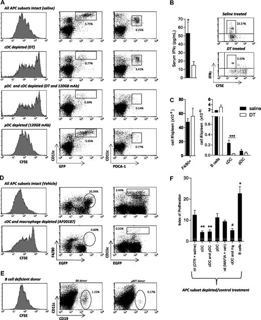 Figure 2. Contribution of APC subsets to alloAg presentation after BMT. (A) T cell–depleted B6.CD11c.DTR Tg BM was transplanted into irradiated BALB/c mice. Recipients were treated with saline, DT, and/or 120G8 mAb on days 8, 10, and 12, as described in “Methods.” CFSE-labeled TEa Tg cells were adoptively transferred 10 days after transplantation, and alloantigen presentation was quantified by assessment of CFSE dilution in cells recovered from spleen 72 hours later (gated on CD4+Vα2+Vβ6+). FACS dot plots demonstrate the proportions of cDCs and pDCs in splenic light-dense fractions remaining after each treatment. EGFP is driven off the CD11c promoter in B6.CD11c.DTR Tg mice, and as such, donor cDCs are defined as CD11chigh/EGFP+ in this system. Data are representative of 5 replicate experiments. (B) Serum IFN-γ levels were measured 3 days after adoptive transfer of TEa T cells by cytokine bead array in BALB/c recipients of B6.CD11c.DTR grafts that were treated with saline or DT. P = .038 (1-tailed), saline versus DT. Error bars represent SEM, n = 9 per group from 2 experiments. FACS plots demonstrate IFN-γ production by day 13 Tg TEa cells ex vivo, as measured by ICC staining after restimulation with soluble CD3 for 4 hours. Representative plots shown from n = 5. (C) Absolute numbers of splenic APCs in DT versus saline-treated recipients at day 13 after transplantation. Error bars represent SEM. For cDCs, n = 8; P < .001, saline versus DT treatment. No significant alteration in F4/80+ macrophages, B cells, or pDCs (n = 3-9 per group combined from 2 experiments). (D) Recipients of T cell–depleted MAFIA Tg BM were treated with vehicle (n = 3) or AP20187 ligand (n = 7), as described. Ten days after transplantation, CFSE-labeled TEa Tg cells were adoptively transferred, and alloantigen presentation was quantified, as described in panel A. FACS dot plots demonstrate the proportions of splenic macrophages (F4/80+/EGFP+) and cDCs (CD11chigh/EGFP+) in splenic light-dense fractions remaining after each treatment. MAFIA Tg cells express EGFP driven off the c-fms promoter, thus allowing identification of donor cells after transplantation. (E) T cell–depleted μMT BM was transplanted into irradiated BALB/c recipients. CFSE-labeled TEa Tg cells were adoptively transferred, and alloantigen presentation was examined, as described in panel A. FACS dot plots demonstrate the proportions of donor B cells in whole spleen at day 13 after transplantation. (F) Indices of adoptively transferred TEa T-cell proliferation in allograft recipients as calculated using Modfit software. The dotted line represents the proliferation index in syngeneic recipients where there is no alloantigen presentation. Error bars represent SEM, combined from 7 experiments. Saline treated, n = 10; cDC depleted, n = 12; cDC/pDC and pDC depleted only, n = 8; cDC/macrophage (mφ) depleted, n = 7; B-cell deficient, n = 4. **P < .007; *P = .02 versus saline-treated controls. #P = .03 versus MAFIA recipients treated with vehicle.